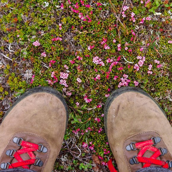 Hey from Across the Bay! ๐ - Picture 7 of 9